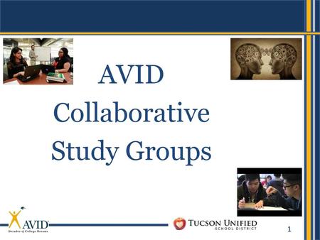 AVID Collaborative Study Groups.