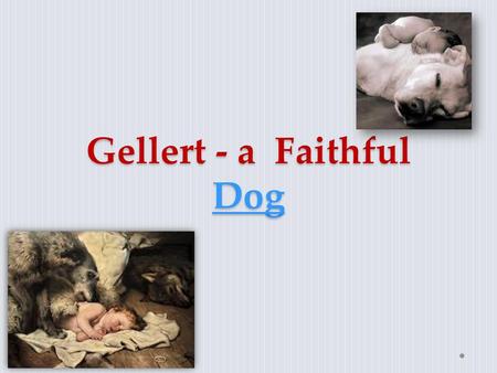 Gellert - a Faithful Dog