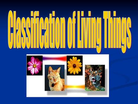 Classification of Living Things