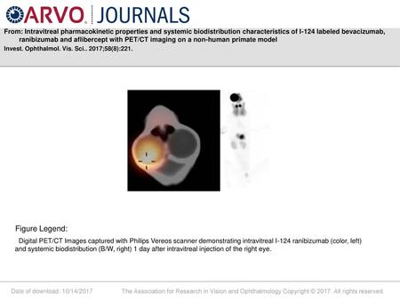 From: Intravitreal pharmacokinetic properties and systemic biodistribution characteristics of I-124 labeled bevacizumab, ranibizumab and aflibercept with.