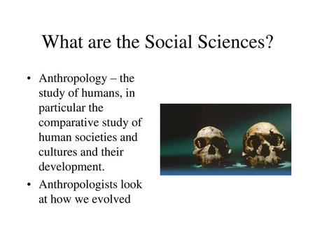 What are the Social Sciences?