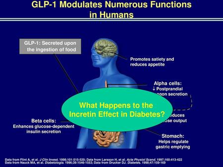 GLP-1 Modulates Numerous Functions in Humans