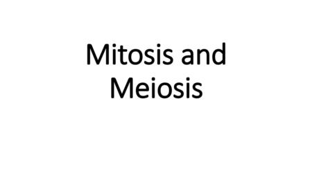 Mitosis and Meiosis.