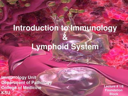 Introduction to Immunology & Lymphoid System