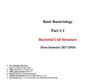 Bacterial Cell Structure