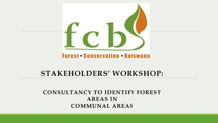 Stakeholders’ Workshop: