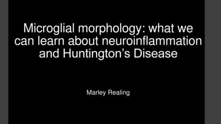 Microglial morphology: what we can learn about neuroinflammation and Huntington’s Disease Marley Realing.