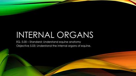 Internal Organs EQ – Standard: Understand equine anatomy