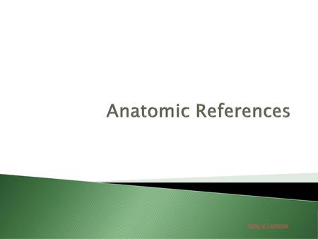 Anatomic References.