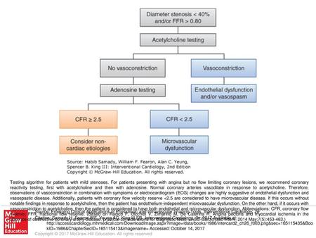 Testing algorithm for patients with mild stenoses