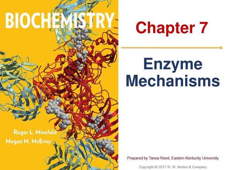 Chapter 7 Enzyme Mechanisms.