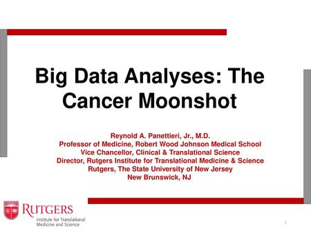 Big Data Analyses: The Cancer Moonshot