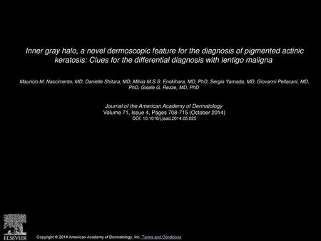 Inner gray halo, a novel dermoscopic feature for the diagnosis of pigmented actinic keratosis: Clues for the differential diagnosis with lentigo maligna 