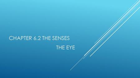 Chapter 6.2 The senses THE EYE.