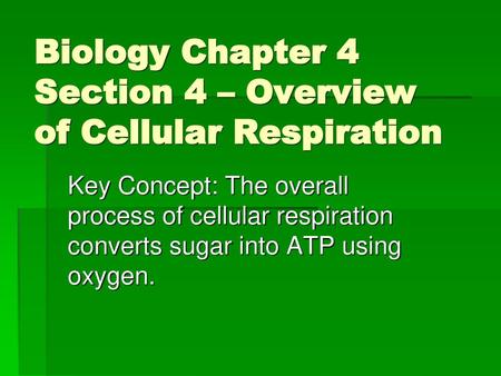 Biology Chapter 4 Section 4 – Overview of Cellular Respiration