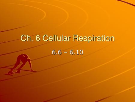 Ch. 6 Cellular Respiration