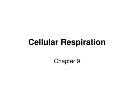 Cellular Respiration Chapter 9.