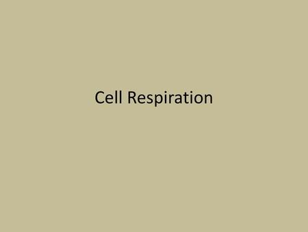 Cell Respiration.