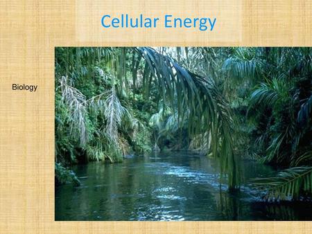 Cellular Energy Biology.