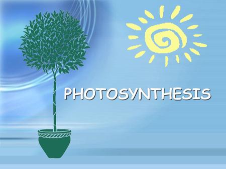 PHOTOSYNTHESIS.