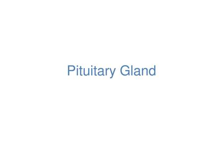 Pituitary Gland.