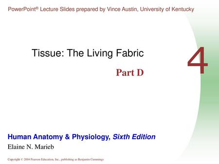 Tissue: The Living Fabric Part D