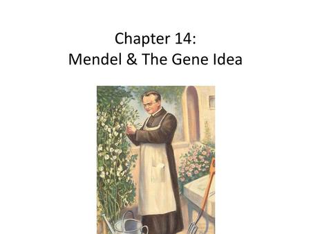 Chapter 14: Mendel & The Gene Idea