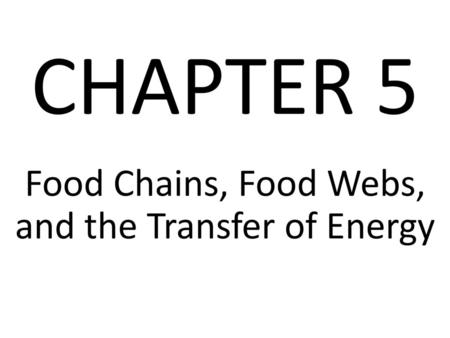 Food Chains, Food Webs, and the Transfer of Energy