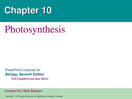 Chapter 10 Photosynthesis.