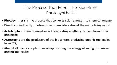 The Process That Feeds the Biosphere Photosynthesis