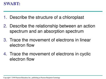 Describe the structure of a chloroplast