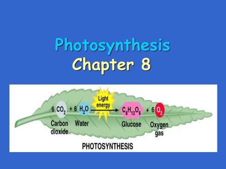 Photosynthesis Chapter 8.