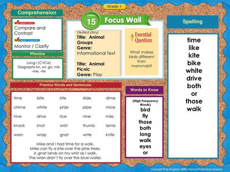 Practice Words and Sentences: (High Frequency Words)