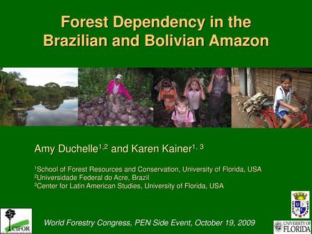 Forest Dependency in the Brazilian and Bolivian Amazon