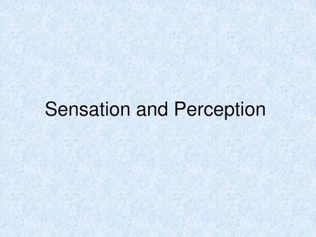 Sensation and Perception