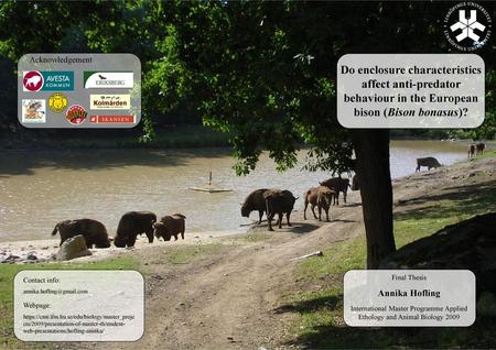 Acknowledgement Do enclosure characteristics affect anti-predator behaviour in the European bison (Bison bonasus)? Final Thesis Annika Hofling International.