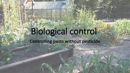 Controlling pests without pesticide