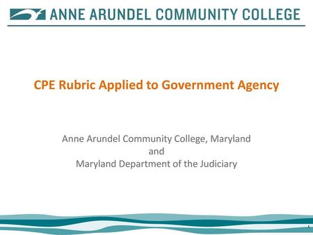 CPE Rubric Applied to Government Agency