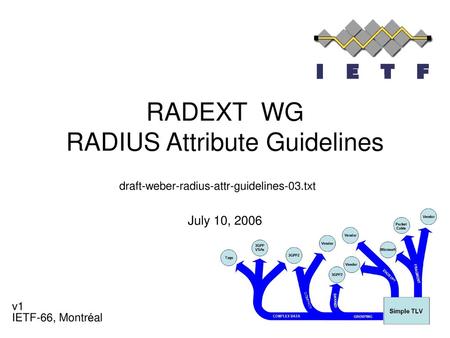 RADEXT WG RADIUS Attribute Guidelines