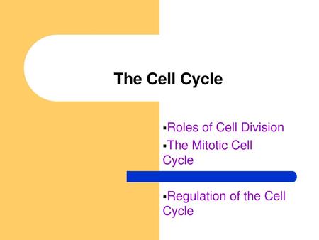 The Cell Cycle Roles of Cell Division The Mitotic Cell Cycle