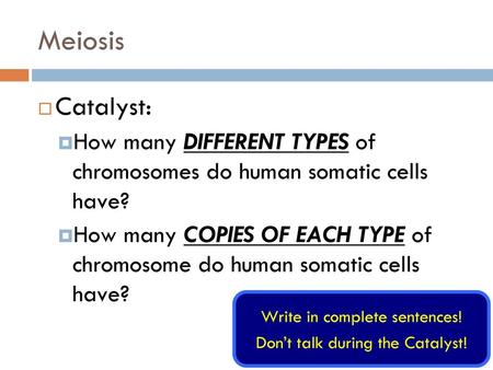 Meiosis Catalyst: How many DIFFERENT TYPES of chromosomes do human somatic cells have? How many COPIES OF EACH TYPE of chromosome do human somatic cells.