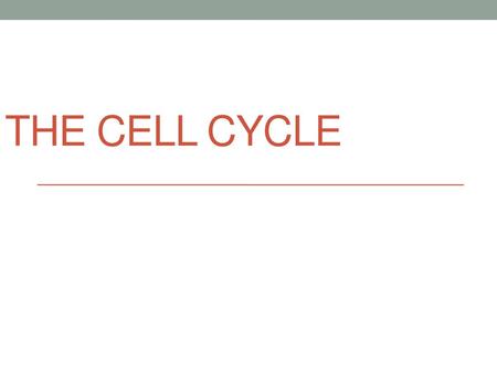 The Cell Cycle.