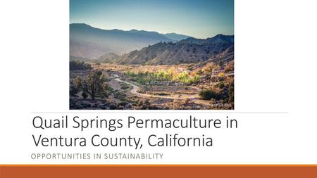 Quail Springs Permaculture in Ventura County, California