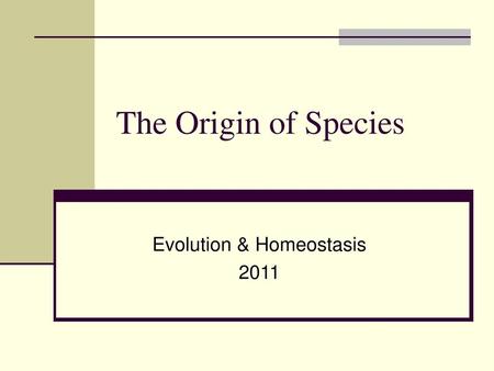 Evolution & Homeostasis 2011