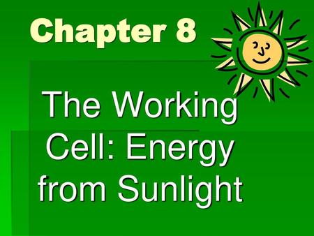 The Working Cell: Energy from Sunlight