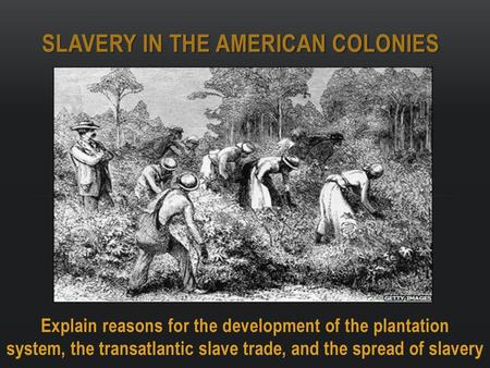 Slavery in the American colonies