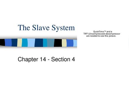 The Slave System Chapter 14 - Section 4.