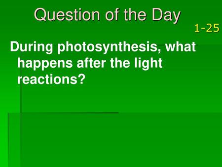 Question of the Day 1-25 During photosynthesis, what happens after the light reactions?