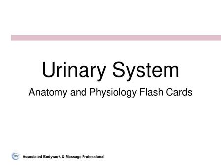 Anatomy and Physiology Flash Cards