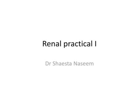 Renal practical I Dr Shaesta Naseem.